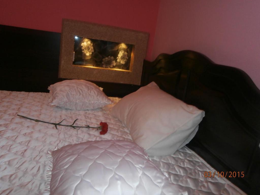 Hotel Vila Mitic Luxx Spa Centar Leskovac  Eksteriør billede